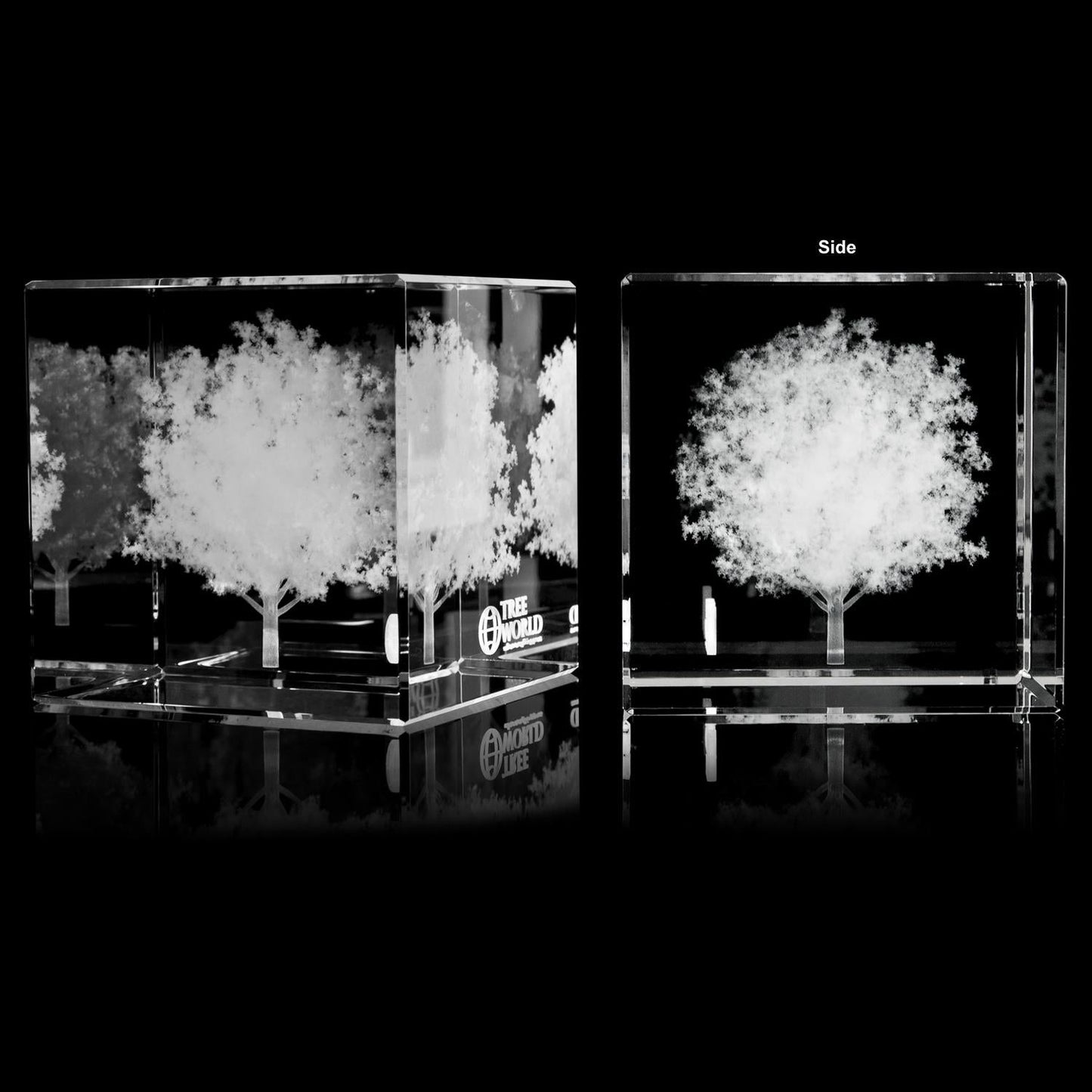 Crystal Cube SKU: FS-575S,FS-575M,FS-575S-2D,FS-575M-2D,FS-575S-3D,FS-575M-3D